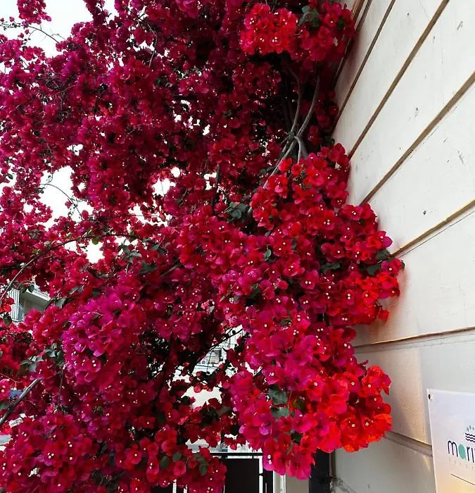 Mariviva Guest House-1